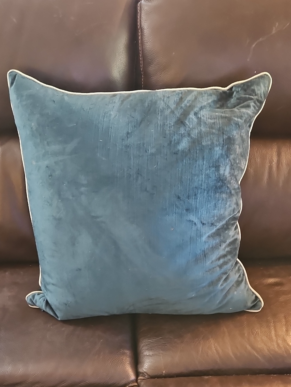 Anthropologie Green Throw Pillow